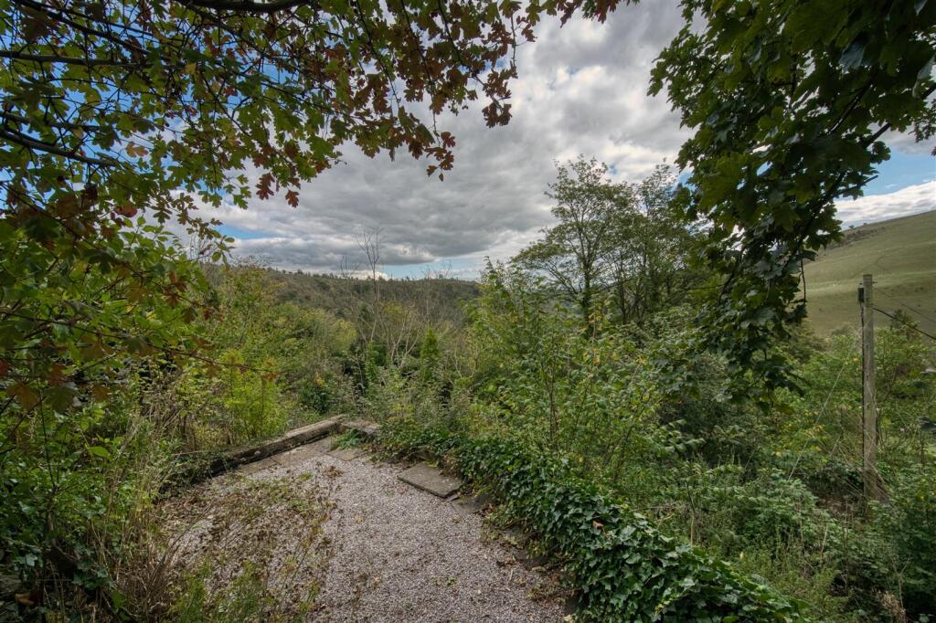 Saxton Mee  48 Middle Row 0031.jpg