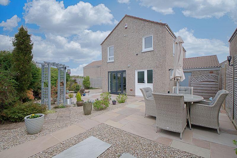 Back Garden