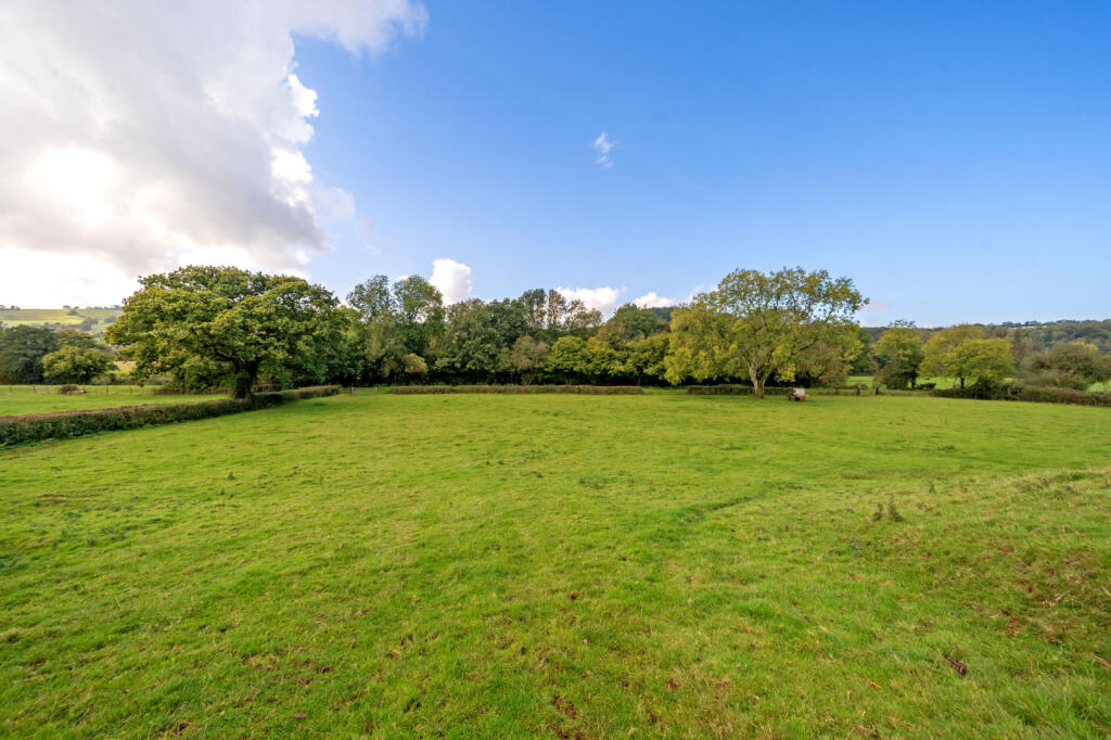 Seddons Tiverton