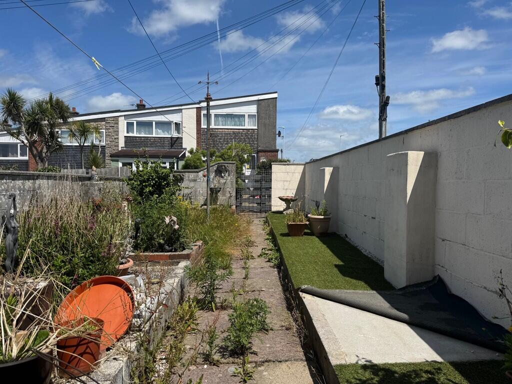 back garden
