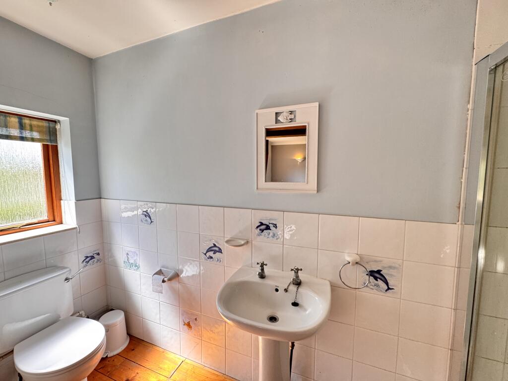 IMG 7275 T202505061322.jpeg