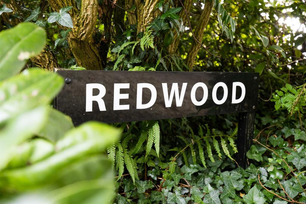 Redwood-2.jpg