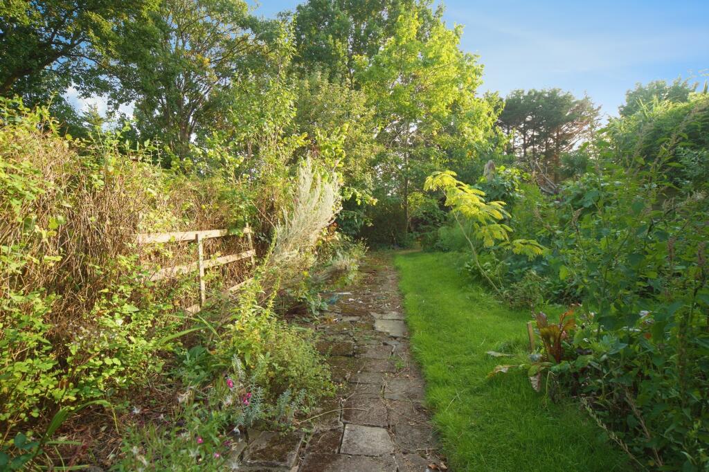 Communal Gardens
