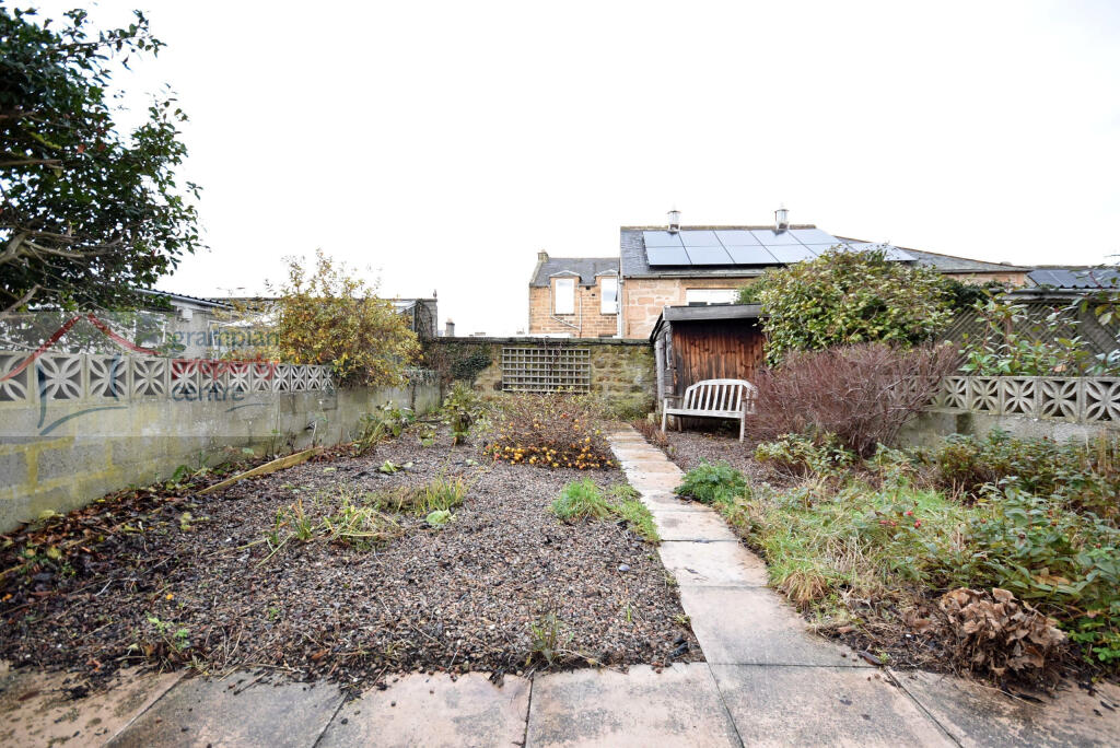 garden.JPG