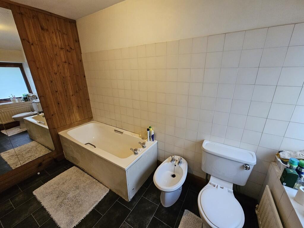 IMG-20250228-WA00...