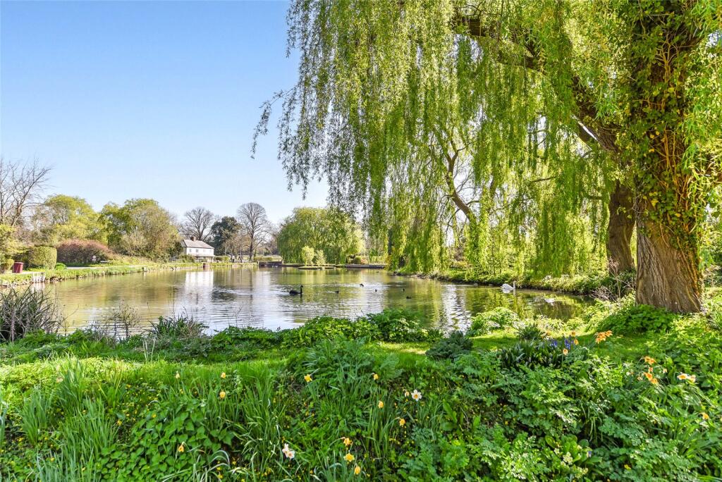 Village Pond