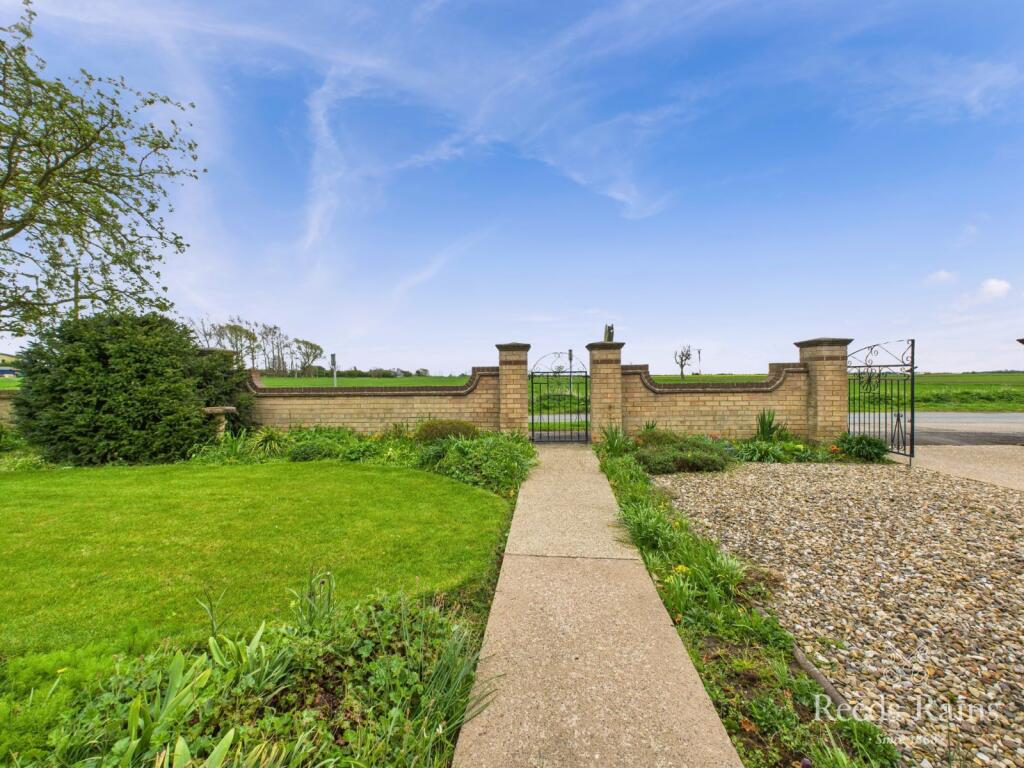 Front/Side Garden