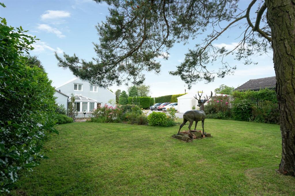 Garden-11.jpg