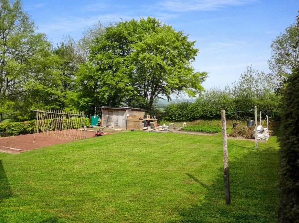 garden.jpg