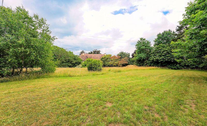 The Meadow with a distant view of the...