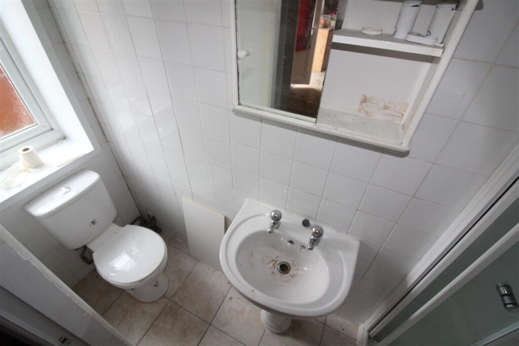 IMG 4287  Medium  T202502031203.jpg