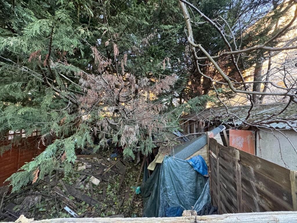 Photo 27-02-2025, 16 52 31.jpg