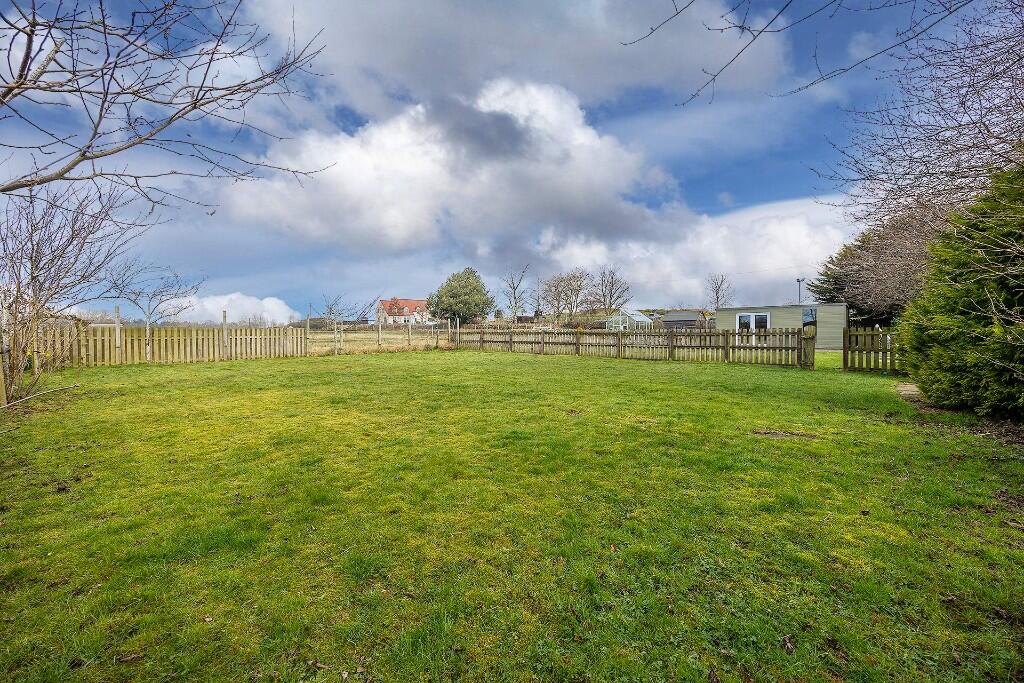 Field