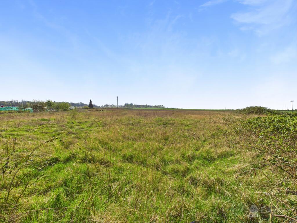 Views from end of garden- Mark Stephens EweMove Ne