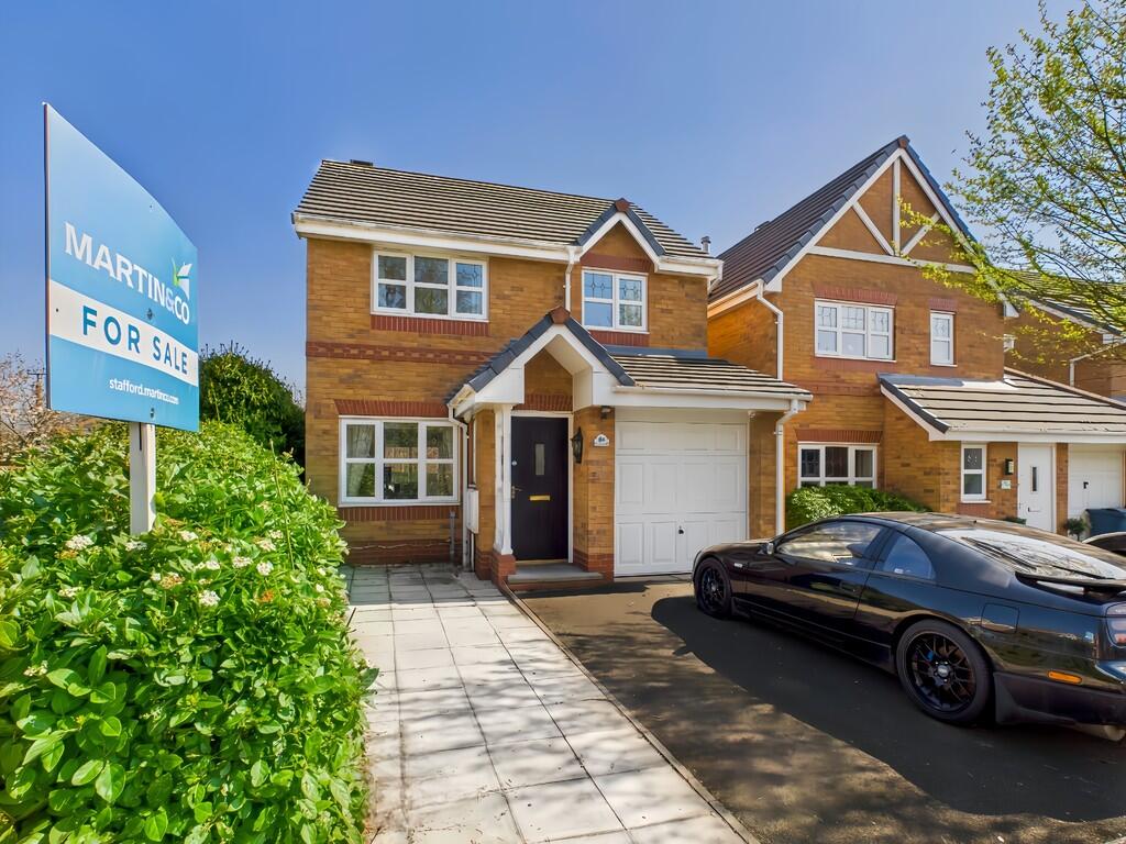 NEW NEW NEW FRONT...