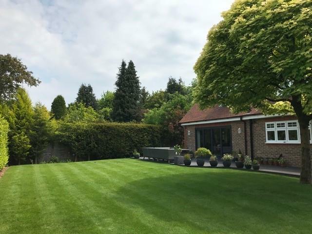 Back garden 2.jpg