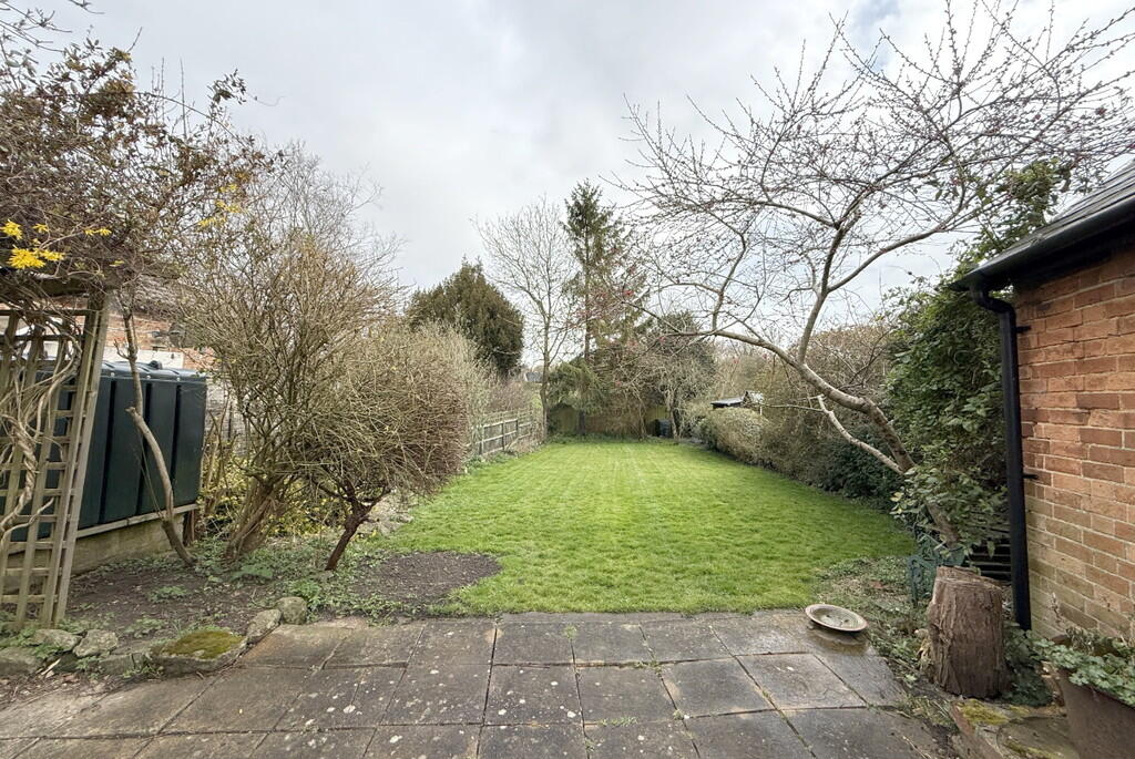 Back Garden