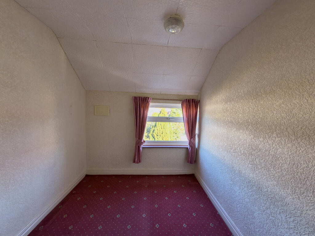 IMG 5153 T202509282048.jpg