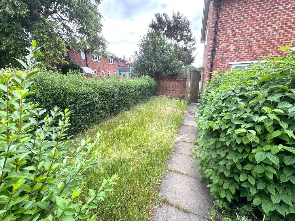 SIDE GARDEN