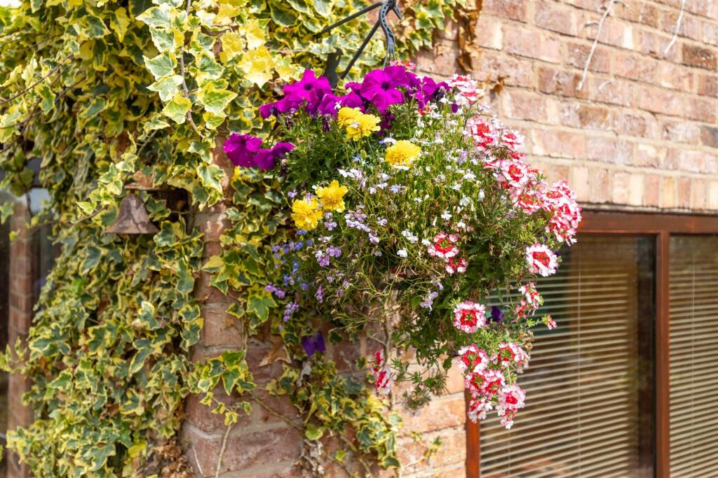 GranniesCottage-28.jpg