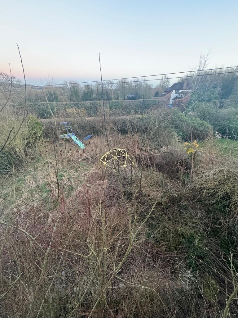 Garden 2
