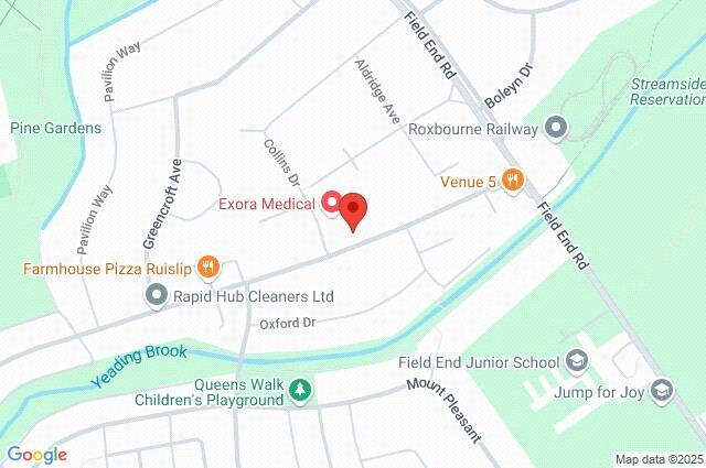 Google Maps Image