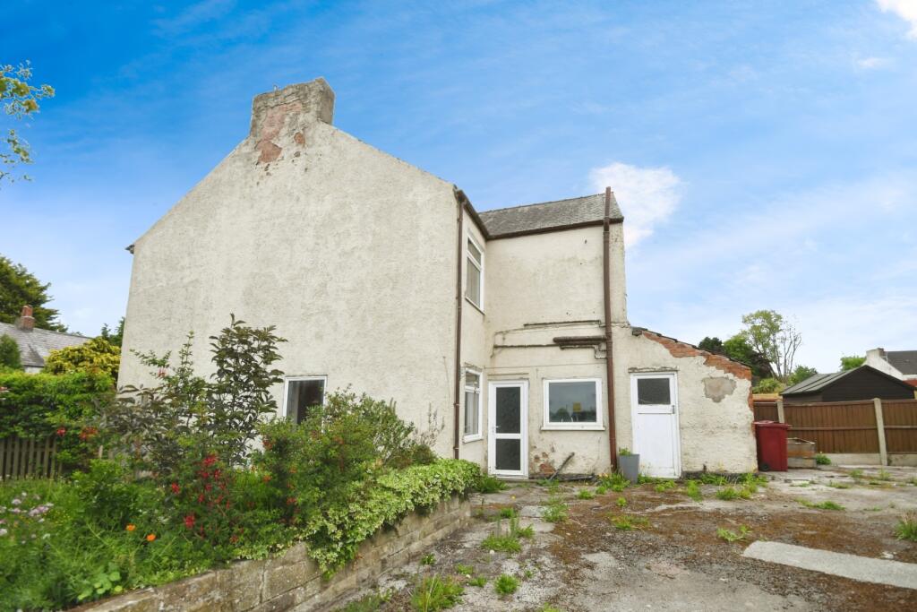 IMAGE 15