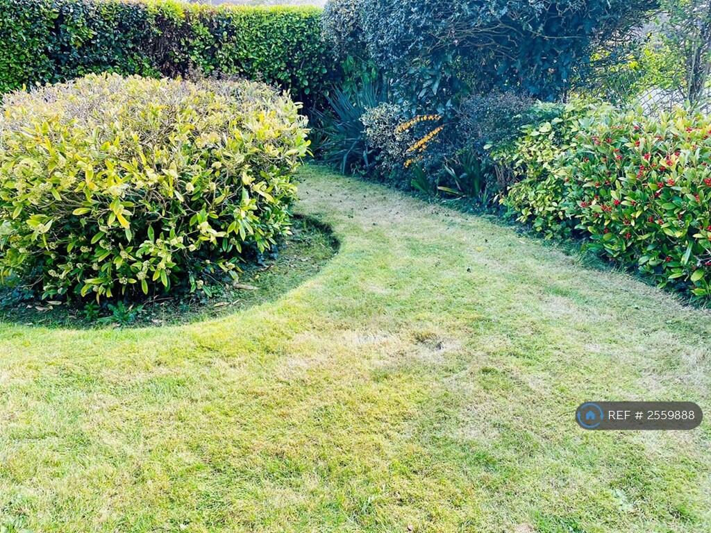 Front Garden