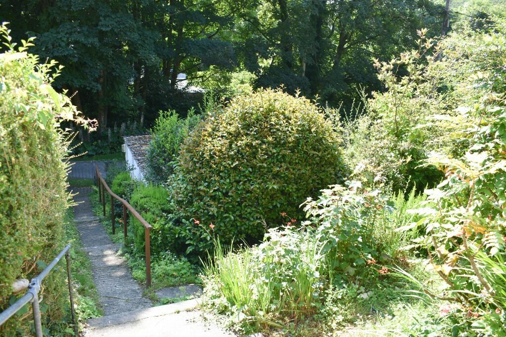 Steps &amp; Garden