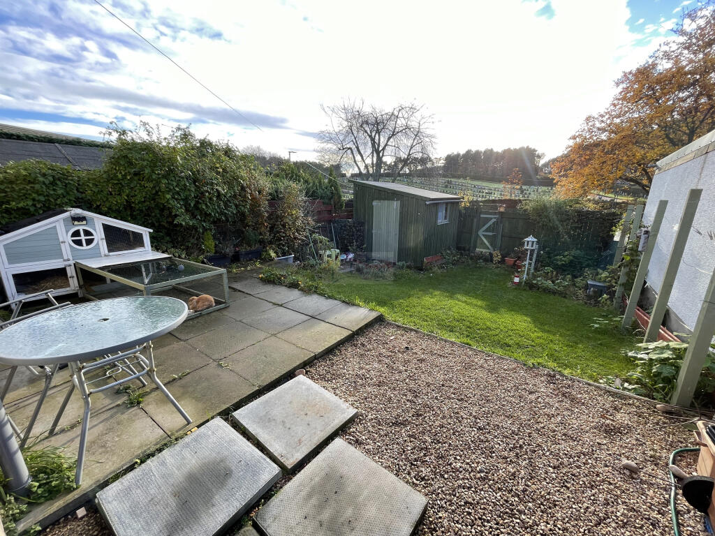 Garden.JPG