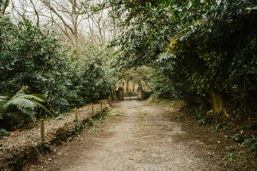 275803 - a0OP6000006sgGXMAY_N97.jpg