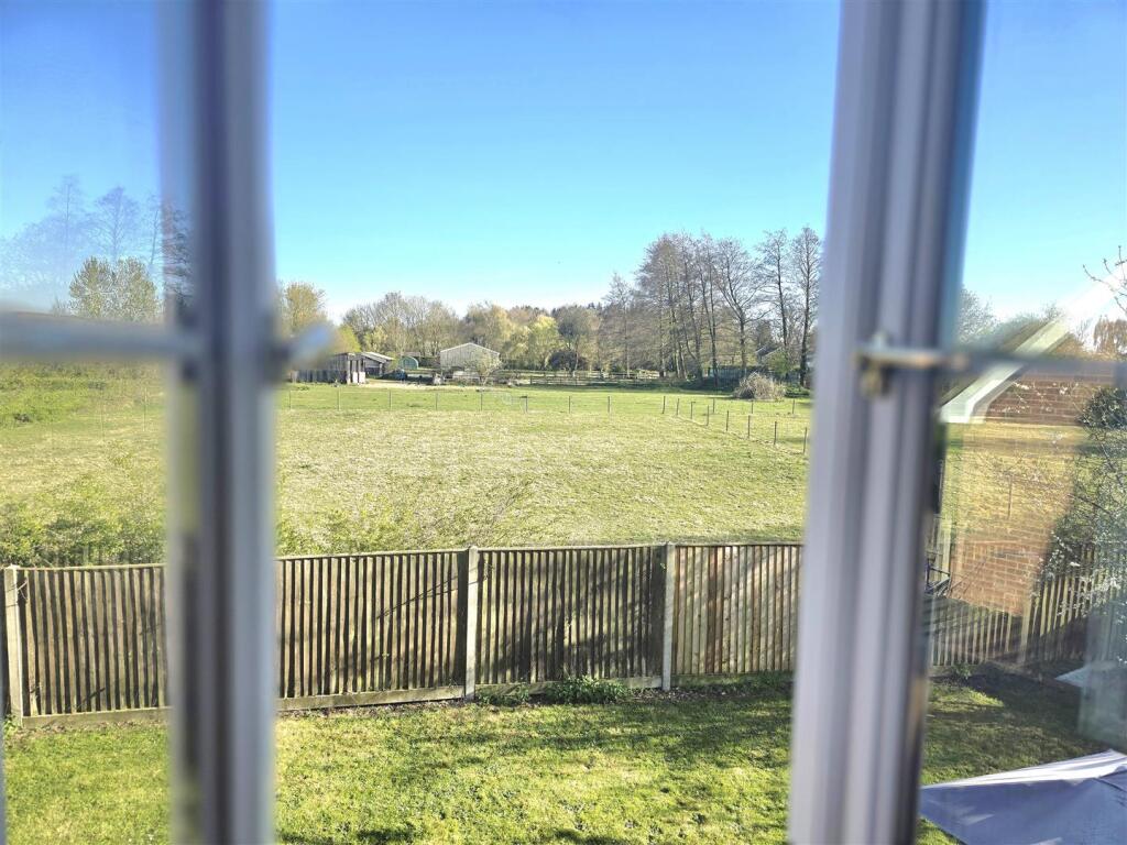 View from Bedroom