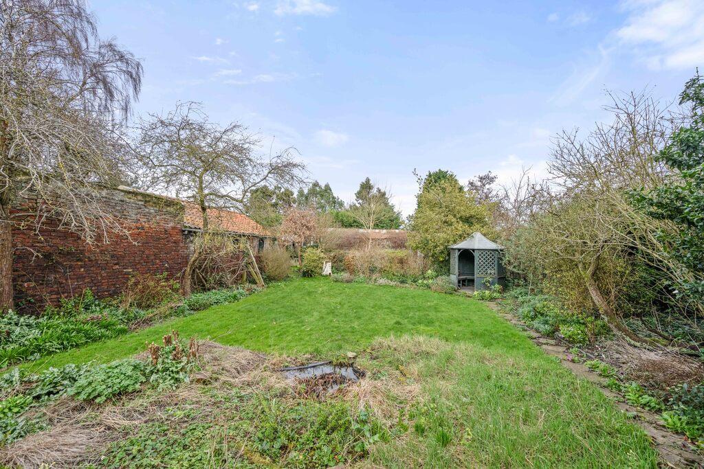 Thatch 20 T202504041224.jpg