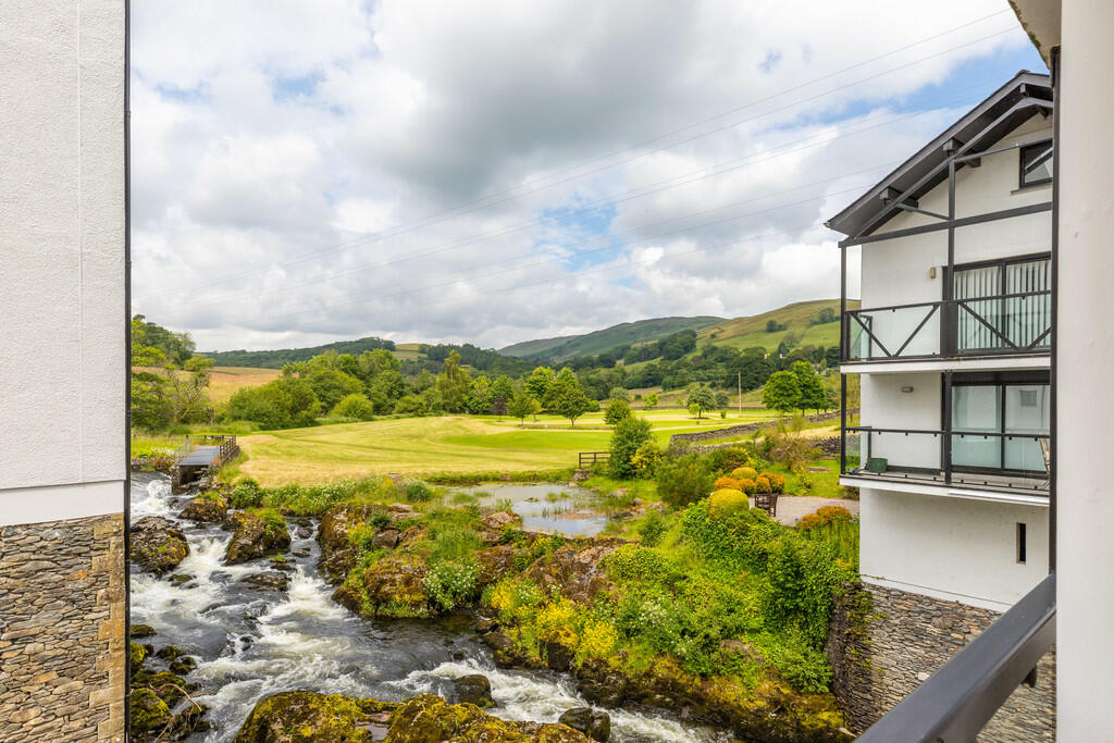 Views from the ba...