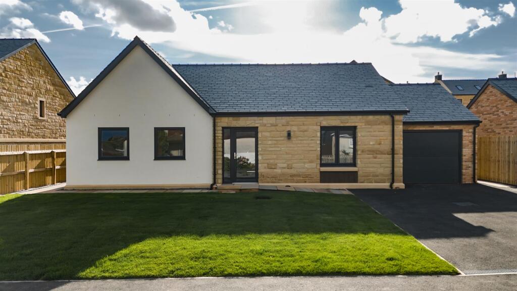 Still 2025-09-19 113050_1.1.1.jpg