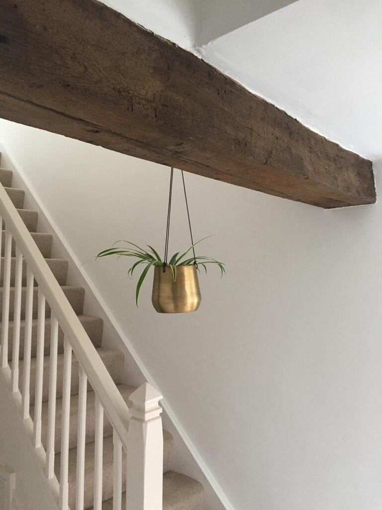 IMG-20250131-WA00...