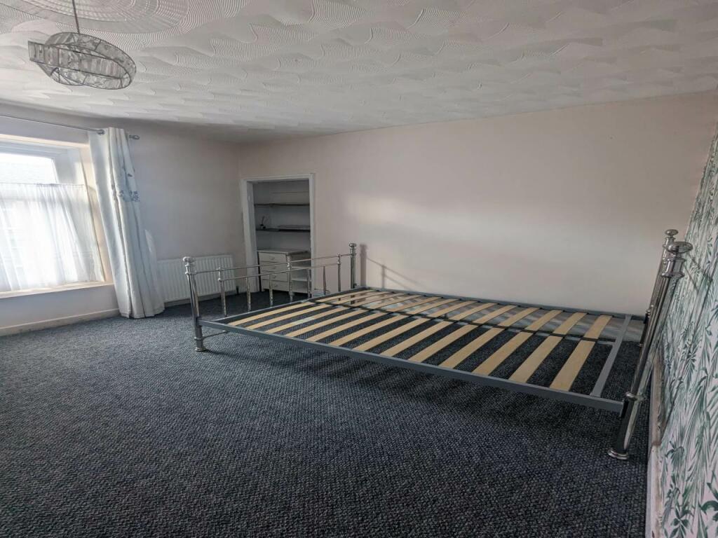 PXL_20240226_1444476