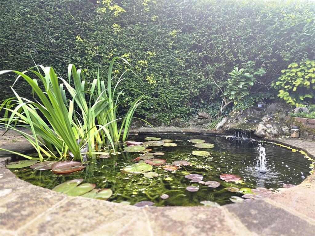 Pond