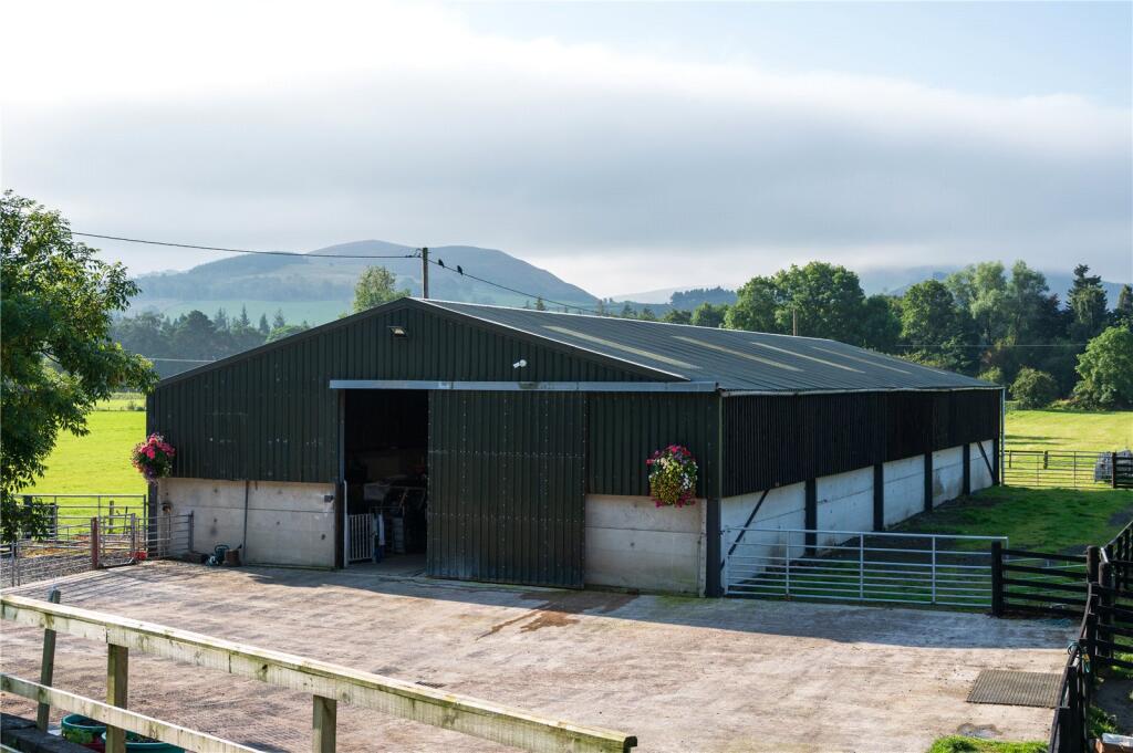 Modern Shed