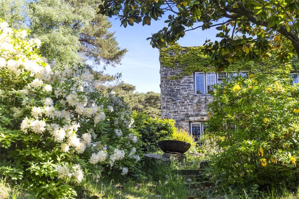 Garden Detail