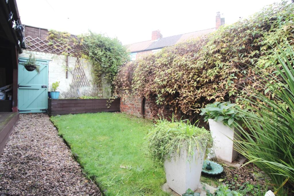 Back garden