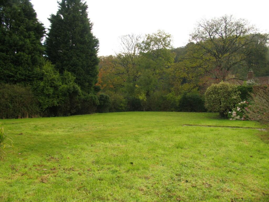 Side Garden