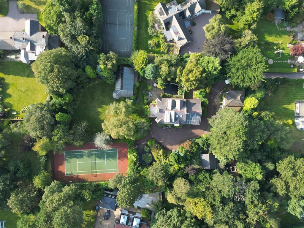 dji_fly_20240906_102544_499_1725883977184_photo.JP