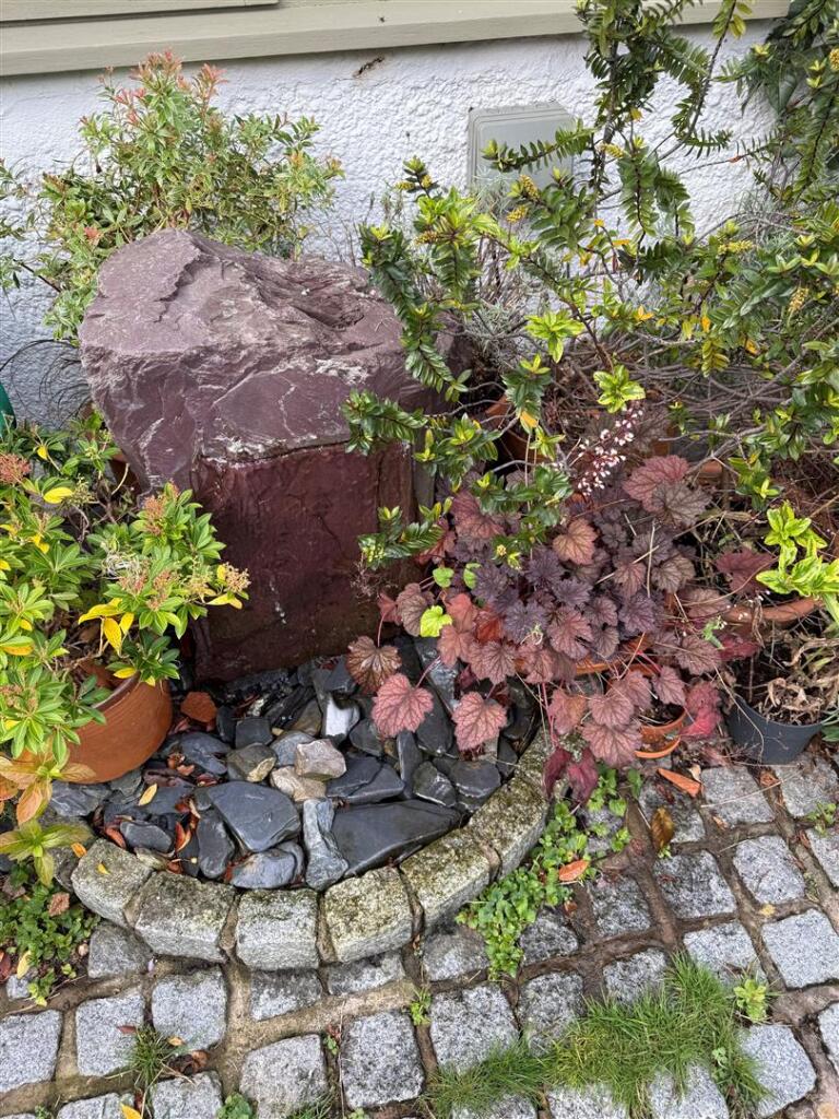Water Feature
