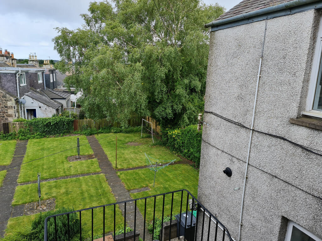 Garden pic 1