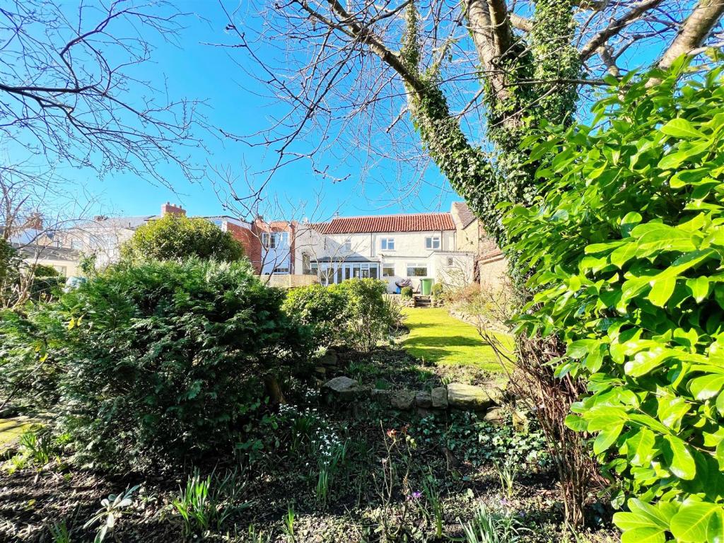 Garden 16.jpg