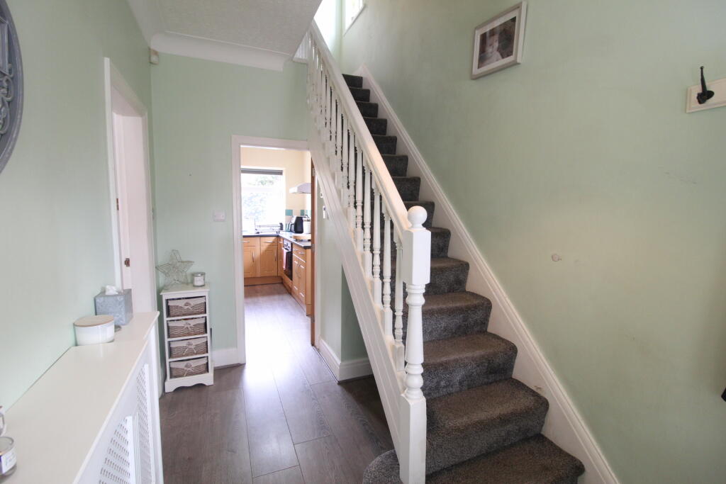 IMG_5887.JPG
