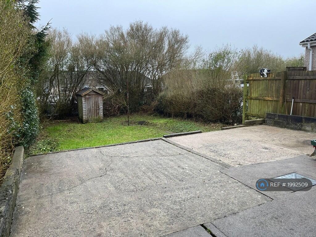 Back Garden 