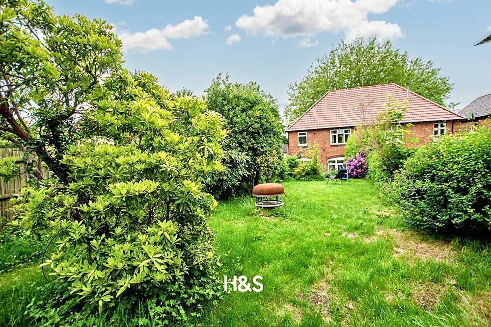 Cole Valley Garden 1.jpeg