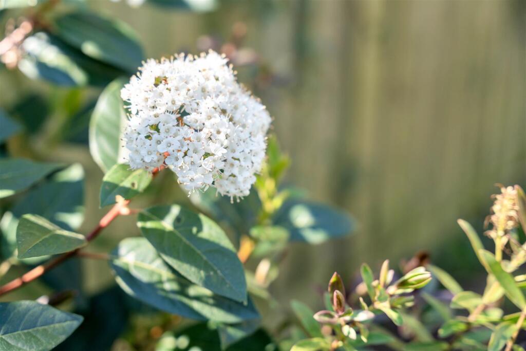 294 Sidegate Lane-23.jpg